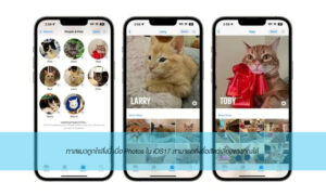 ios17 pet