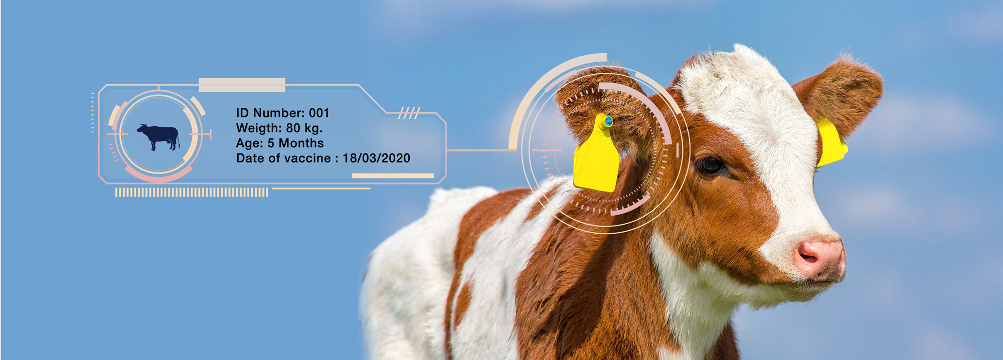 animal tag banner