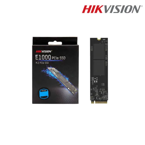 HS SSD E1000 256G