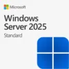 Windows server 2025 standard.jpg